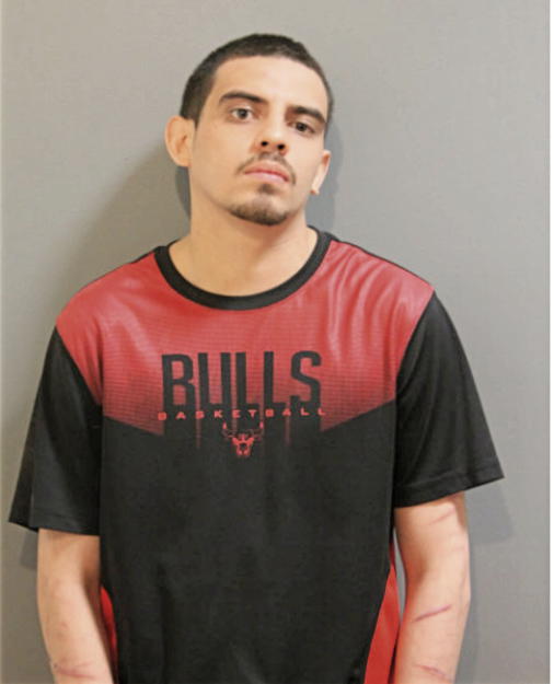 JAVONNI J AVILA, Cook County, Illinois