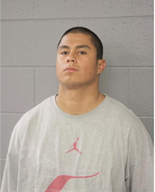OMAR BERRONES, Cook County, Illinois
