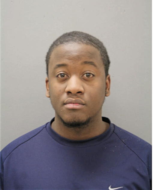 MICHAEL L BIAS, Cook County, Illinois