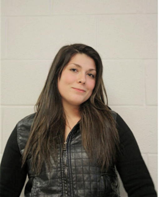 LISA BRIESKE, Cook County, Illinois