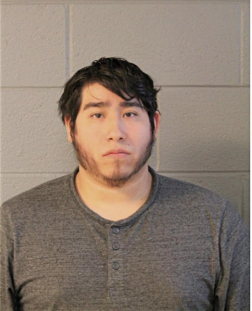 LEON CEPEDA, Cook County, Illinois