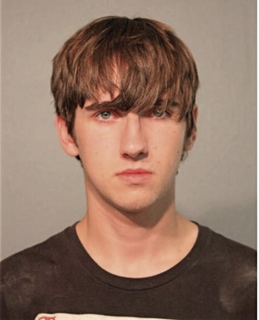STEVEN M CLARK, Cook County, Illinois
