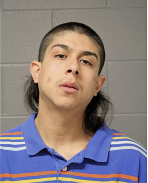 LUIS JIMENEZ, Cook County, Illinois