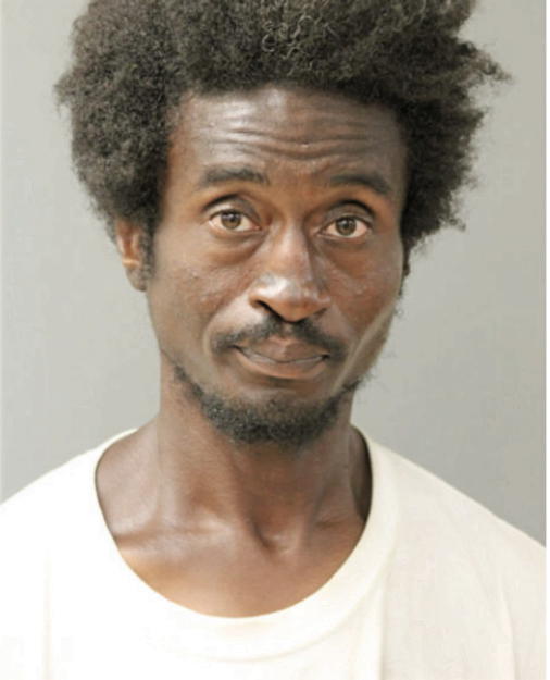 AMIR JOHNSON, Cook County, Illinois