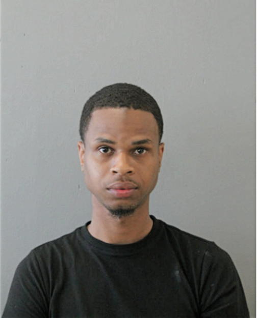 DENIKKO J JOHNSON, Cook County, Illinois