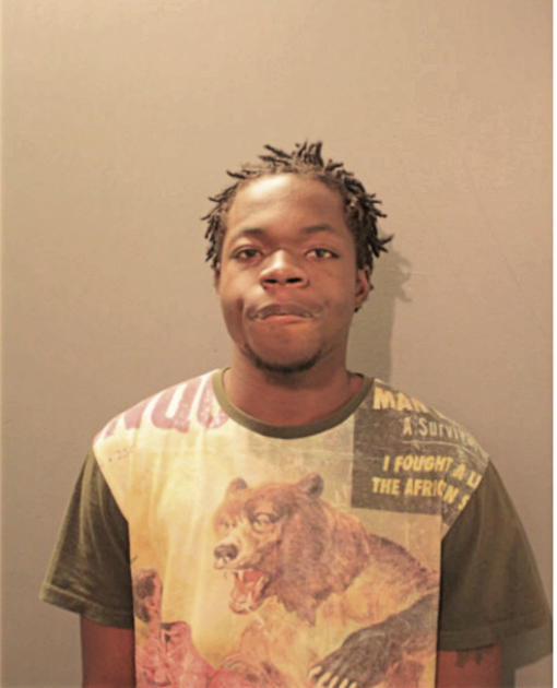DEVON S JOHNSON, Cook County, Illinois