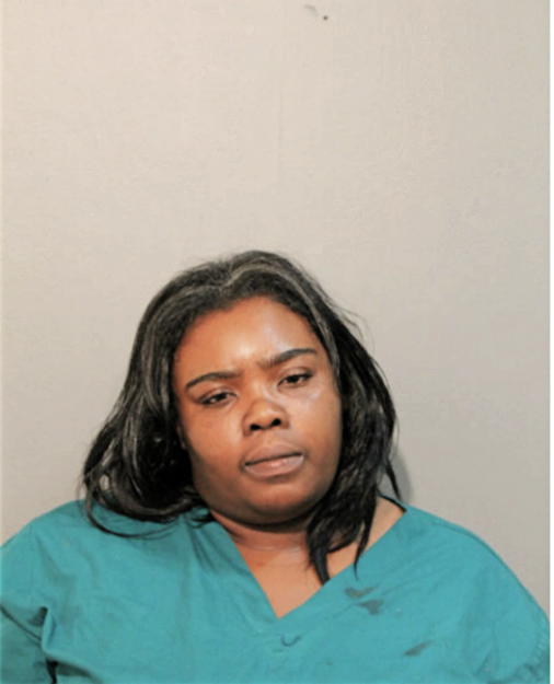 CHRISTEN R JONES, Cook County, Illinois