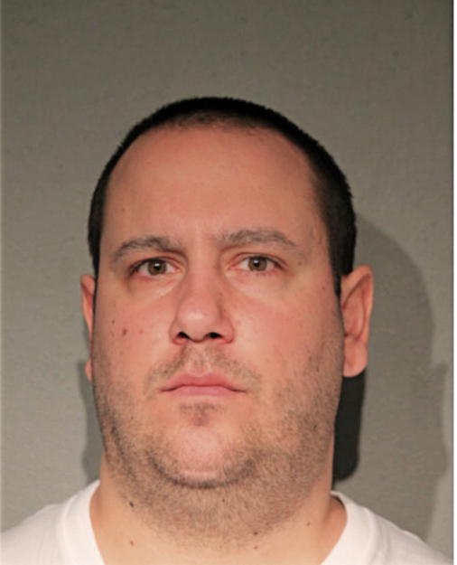 CHRISTOPHER T LENZ, Cook County, Illinois