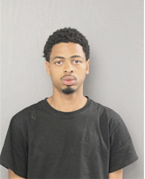 MICHAEL A LEWIS, Cook County, Illinois