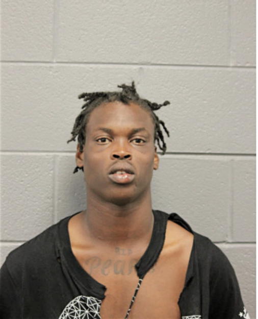CHRISTOPHER L LUCIOUS, Cook County, Illinois