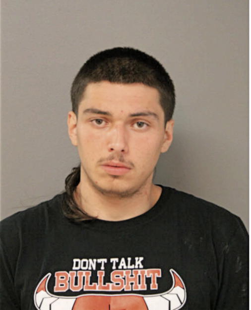 ROBERT A MAJEWSKI, Cook County, Illinois