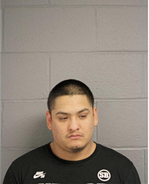 OSCAR MARTINEZ, Cook County, Illinois