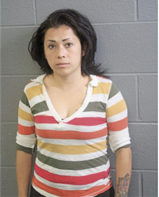 NORMA MENDEZ-VEGA, Cook County, Illinois