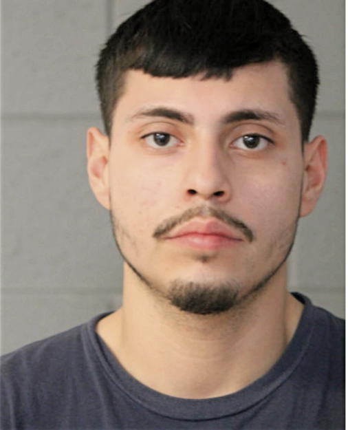 GUSTAVO MIRANDA, Cook County, Illinois