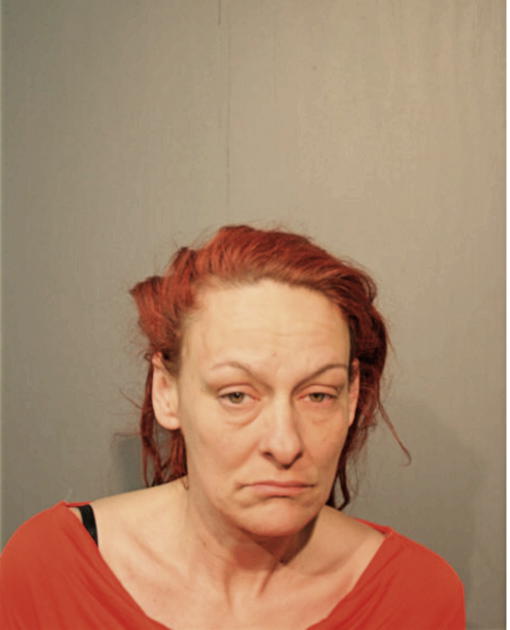BRANDY M POWYSZYNSKI, Cook County, Illinois