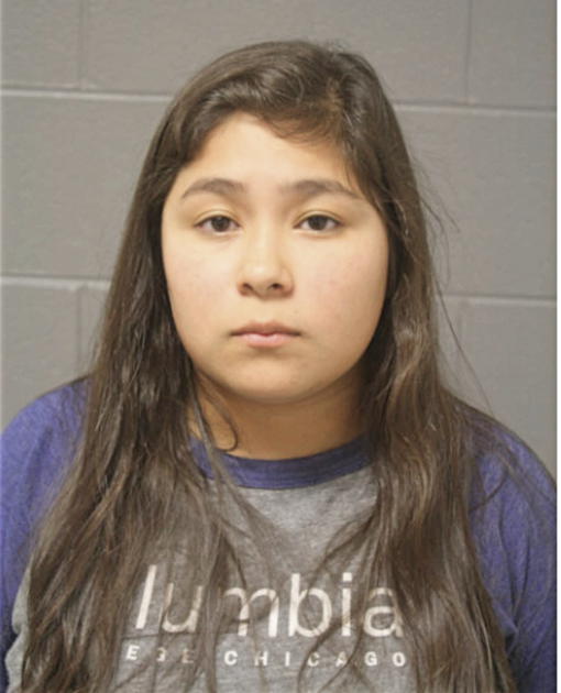 MONICA C RAMIREZ, Cook County, Illinois