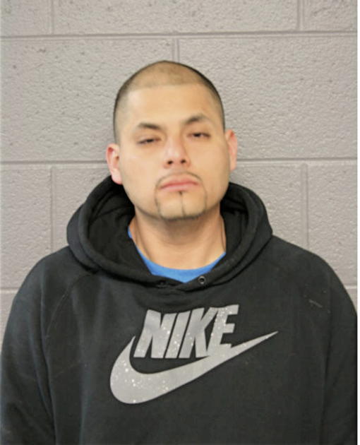 ADAM SALINAS, Cook County, Illinois