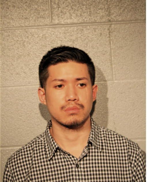 CHRIS B SANAVONGSAY, Cook County, Illinois