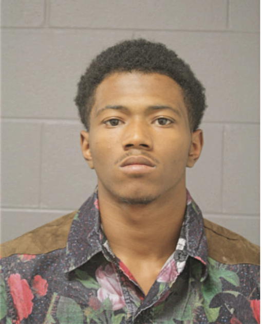 WAYNE Q SLATER, Cook County, Illinois
