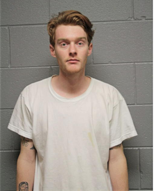 NATHANIEL R STEVENS, Cook County, Illinois