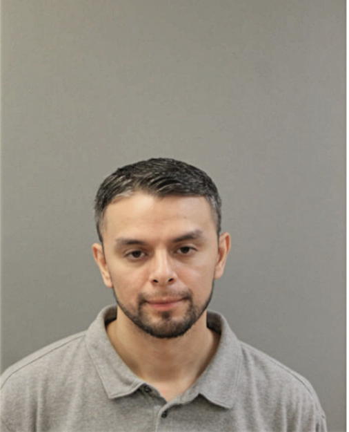 CARLOS A VEGA, Cook County, Illinois