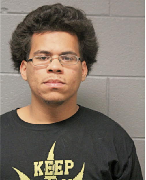 ERICSON L VEGA, Cook County, Illinois