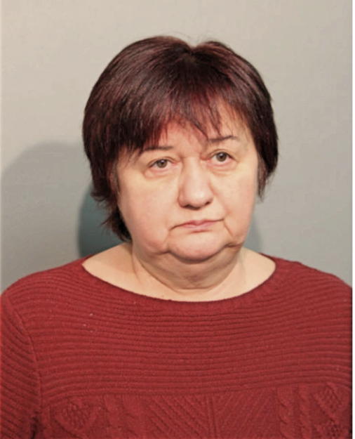 IBOLYA BALOGH, Cook County, Illinois