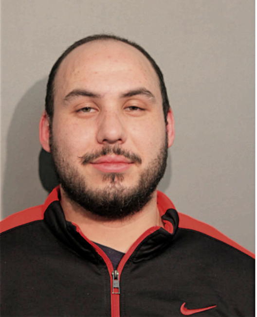 DAVID A BROWN, Cook County, Illinois
