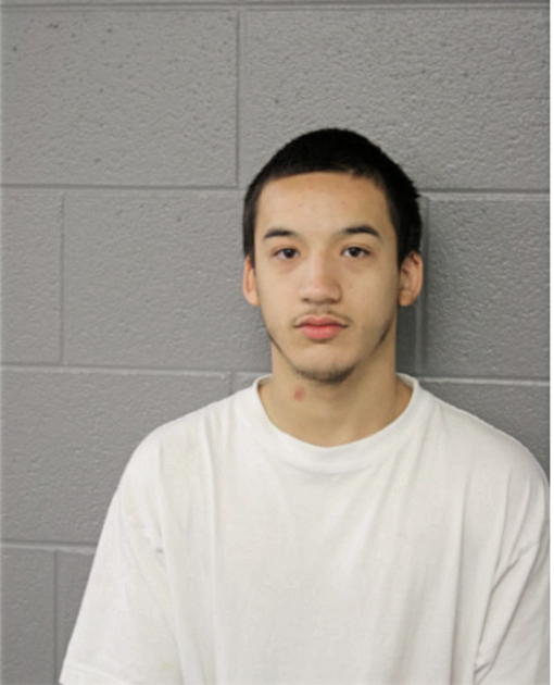 JOSHUA CHAVEZ, Cook County, Illinois
