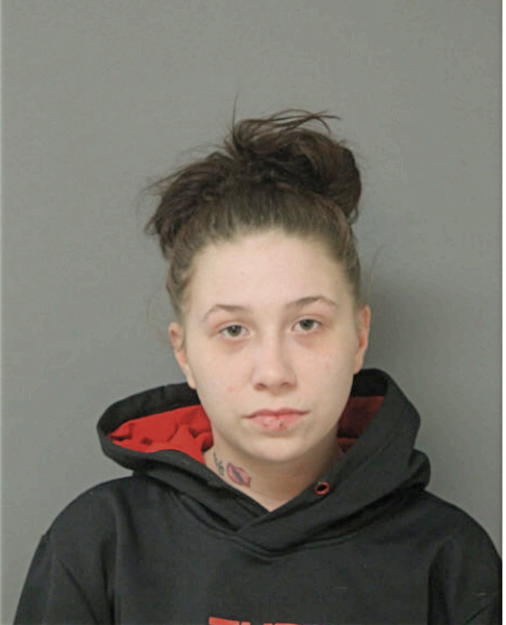 ASHLEY E CAFILLIO-TISCHLER, Cook County, Illinois