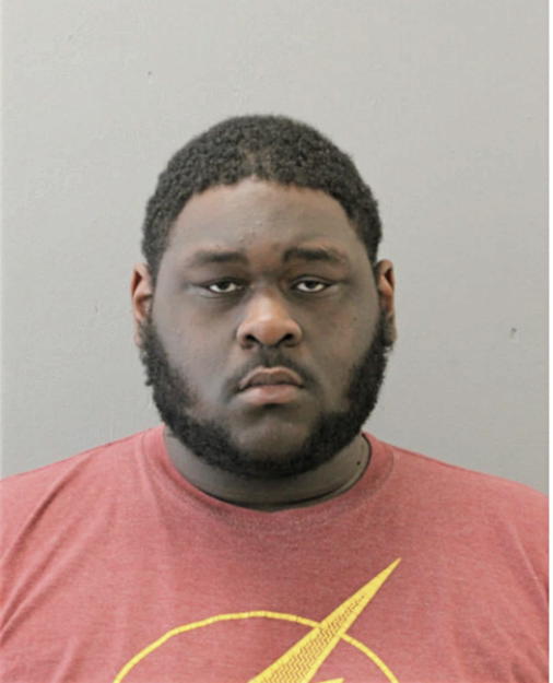 DANNIE R FEARENCE, Cook County, Illinois