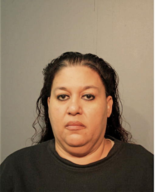 MIGDALIA M FERNANDEZ, Cook County, Illinois