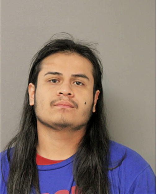 JOHNNY FLORES, Cook County, Illinois