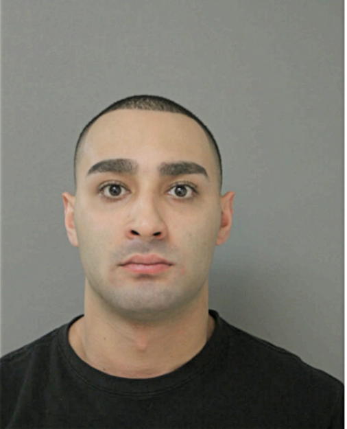 DANIEL C GONZALEZ, Cook County, Illinois
