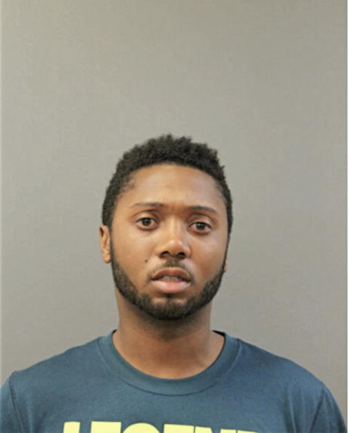 MICHAEL P IRBY, Cook County, Illinois
