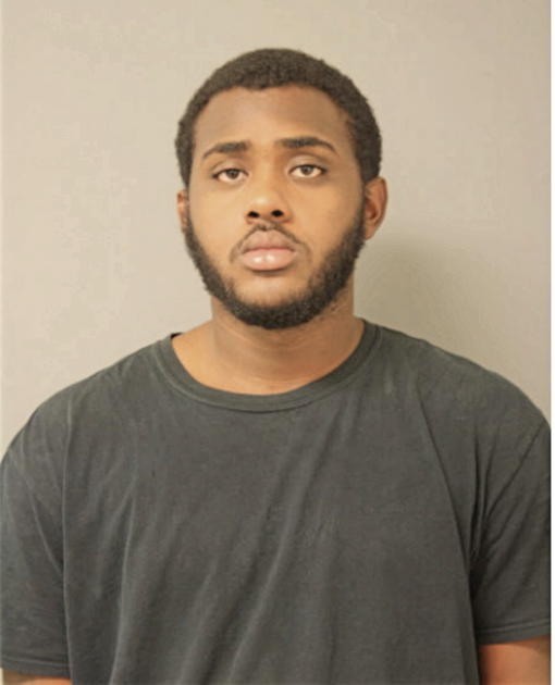 DENZEL L JOHNSON, Cook County, Illinois