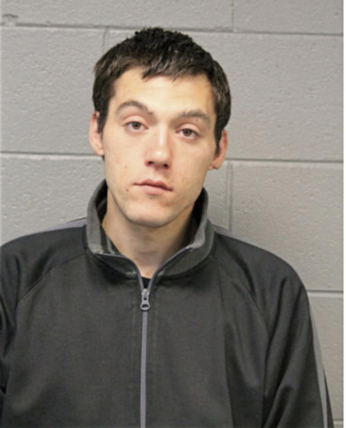 SILVAN KRZALIC, Cook County, Illinois