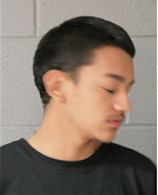 ALFREDO LONGORIA, Cook County, Illinois