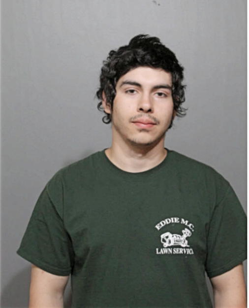JOSE R LOPEZ TAVARES, Cook County, Illinois