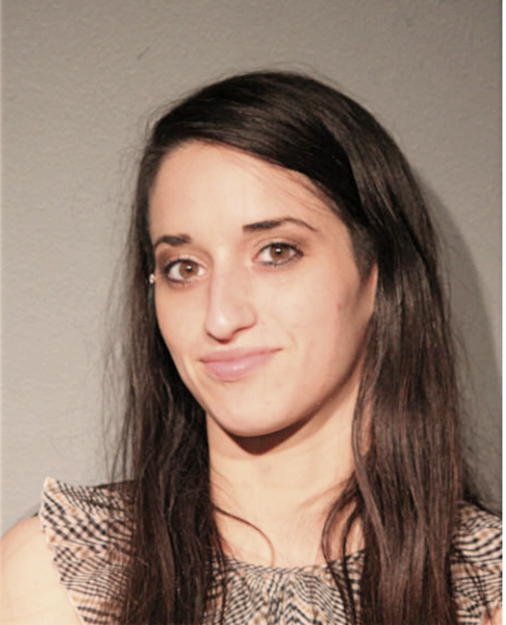 MEGAN L MANES, Cook County, Illinois