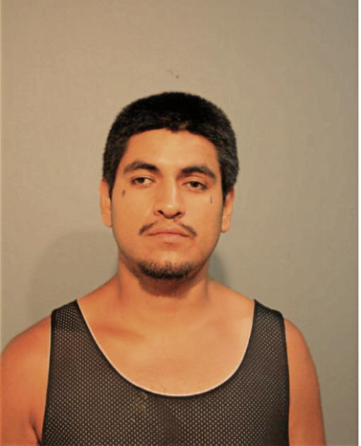 ARMANDO MARTINEZ, Cook County, Illinois