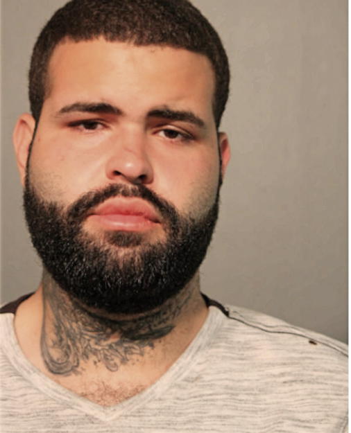 JONATHAN J MARTINEZ, Cook County, Illinois