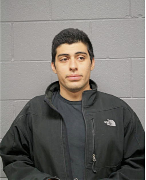 RICHARD D MARTINEZ, Cook County, Illinois