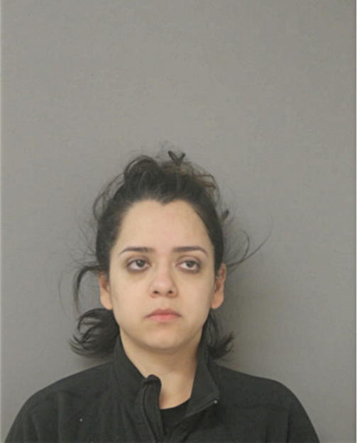 JENNIFER I MENDEZ, Cook County, Illinois