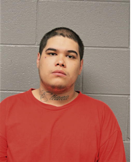 LUIS C MOLINA, Cook County, Illinois