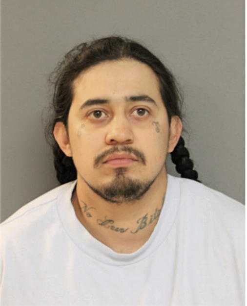 OCTAVIANO ROMERO, Cook County, Illinois