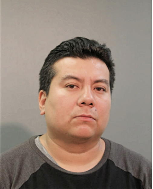 MANUEL E SANCHEZ-CANSECO, Cook County, Illinois