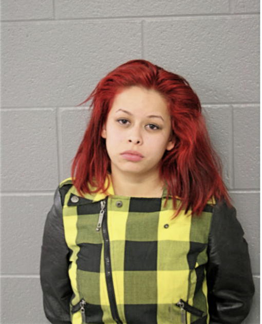 ELIZABETH VARGAS, Cook County, Illinois