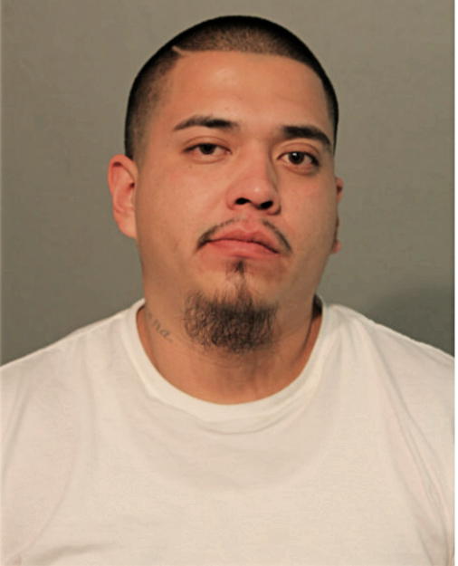 OSCAR M BAHENA, Cook County, Illinois