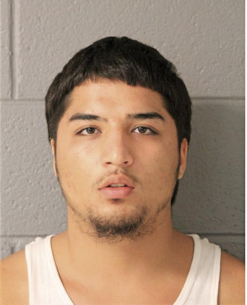 JESUS CASTANEDA, Cook County, Illinois